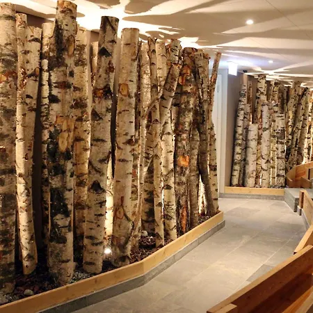 Hotel 4 Vallées&spa 4* Superior Nendaz