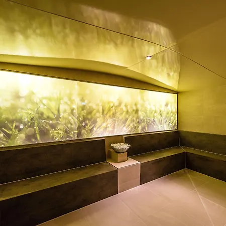 Hotel 4 Vallees & 4* Superior